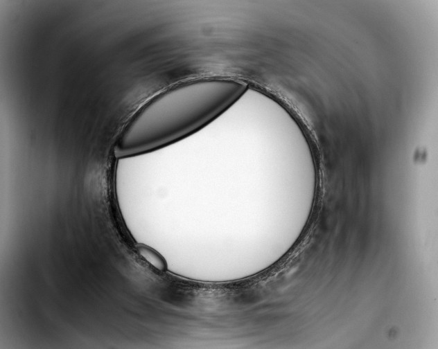 X0000103450105200810101136