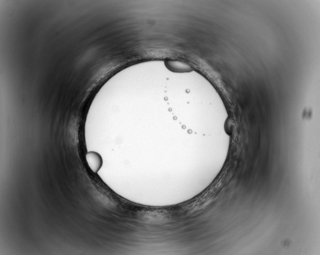 X0000103450106200810101136