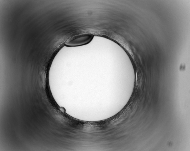 X0000103450109200810101136