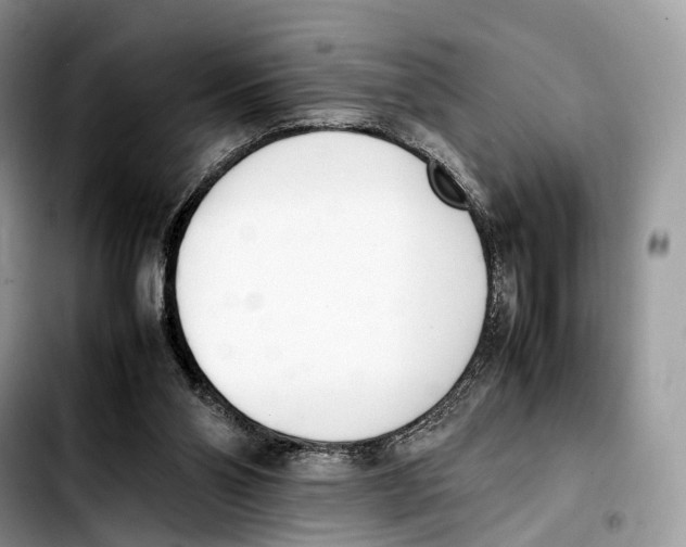 X0000103450110200810101136