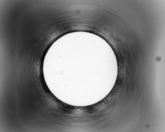 X0000103450111200810101136