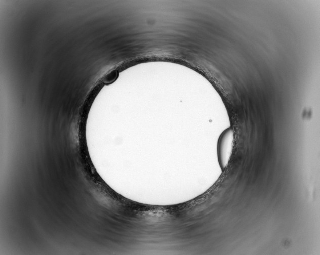 X0000103450112200810101136