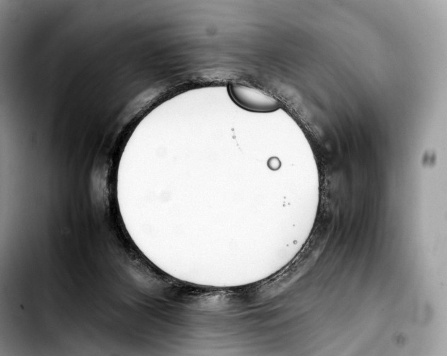 X0000103450116200810101136