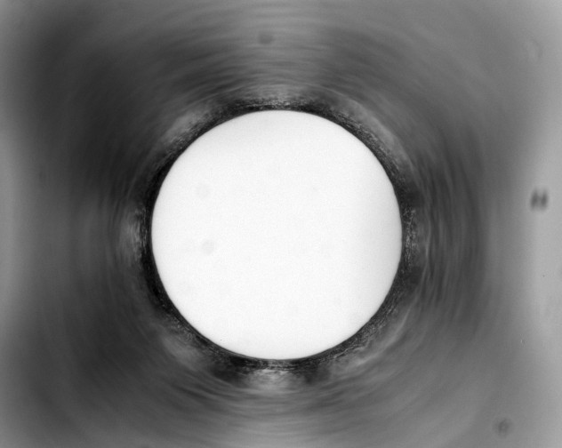 X0000103450119200810101136