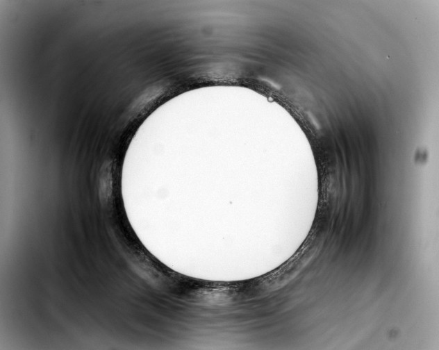 X0000103450120200810101136