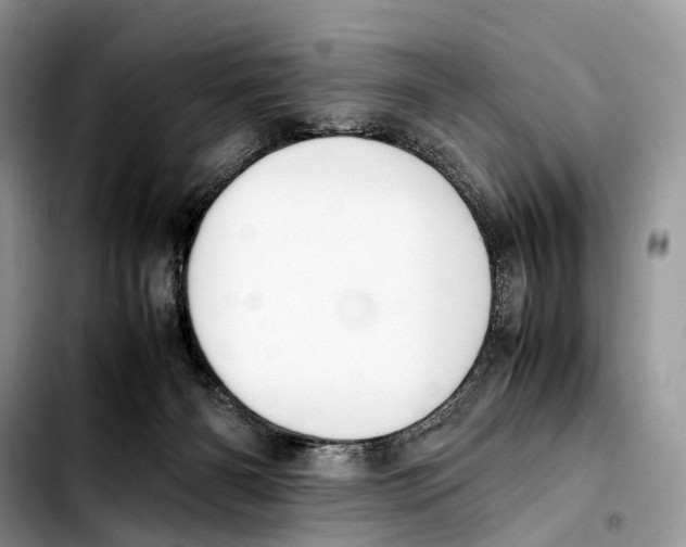 X0000103450126200810101136