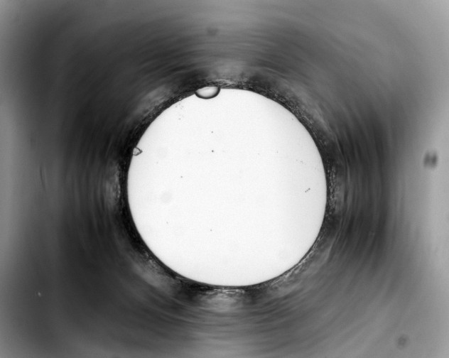 X0000103450128200810101136