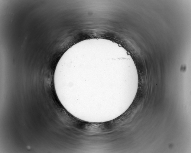 X0000103450129200810101136