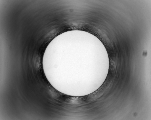 X0000103450130200810101136