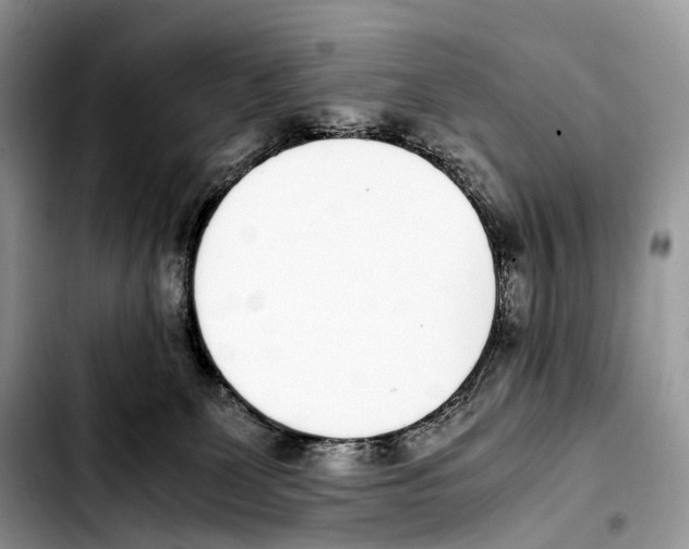 X0000103450131200810101136