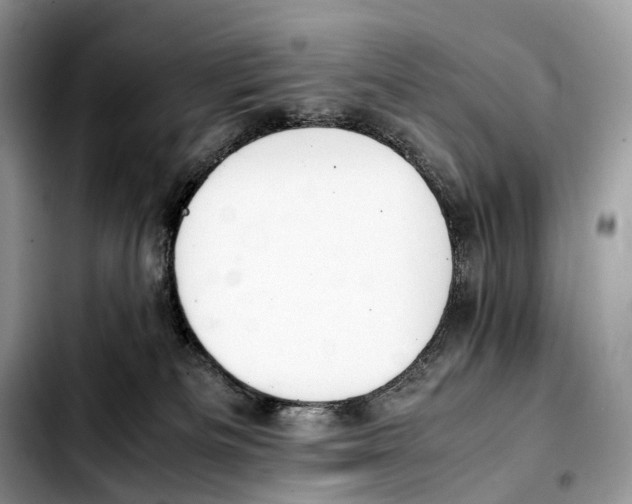 X0000103450133200810101136