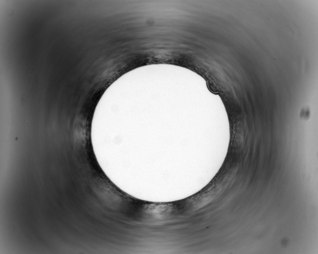 X0000103450135200810101136