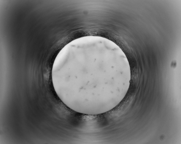 X0000103450139200810101136