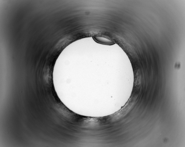 X0000103450140200810101136