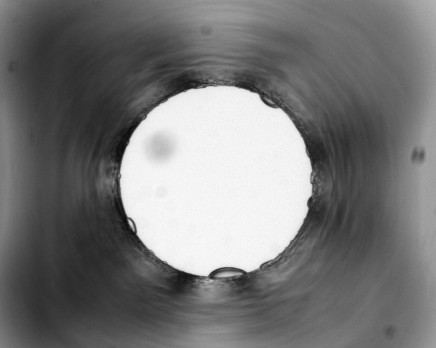 X0000103450141200810101136