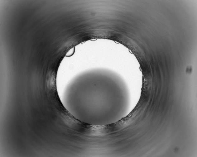 X0000103450143200810101136