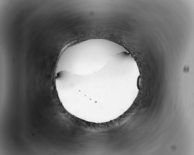 X0000103450144200810101136