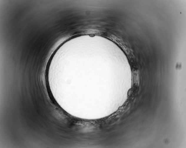 X0000103450147200810101135