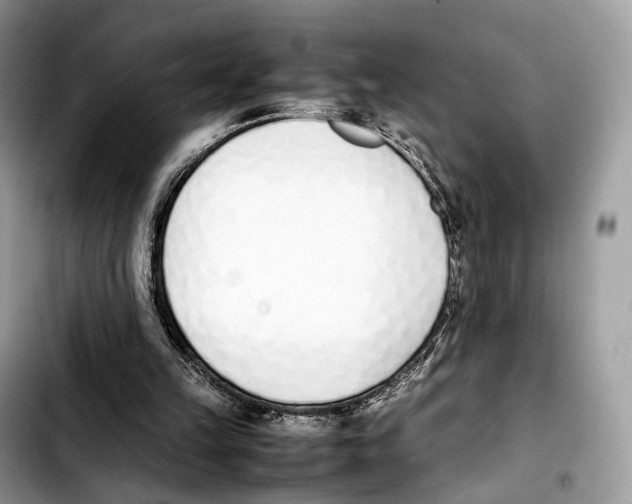 X0000103450149200810101135