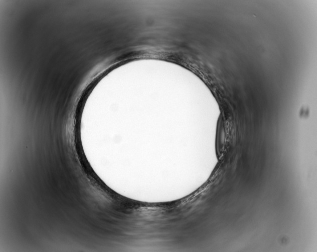 X0000103450150200810101135