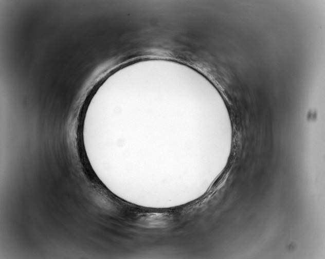 X0000103450151200810101135