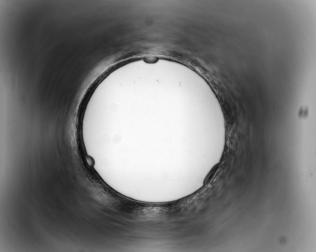 X0000103450152200810101135