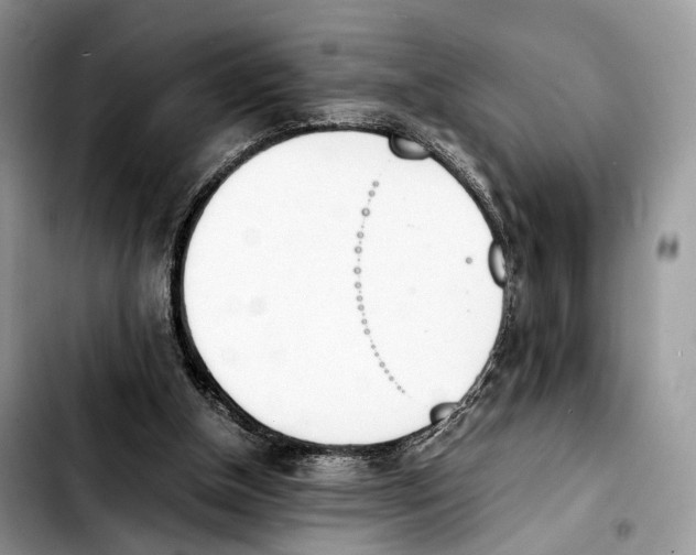 X0000103450154200810101135