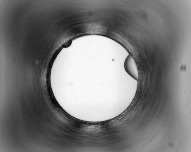 X0000103450155200810101135