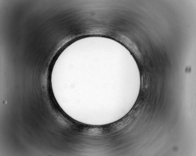 X0000103450156200810101135