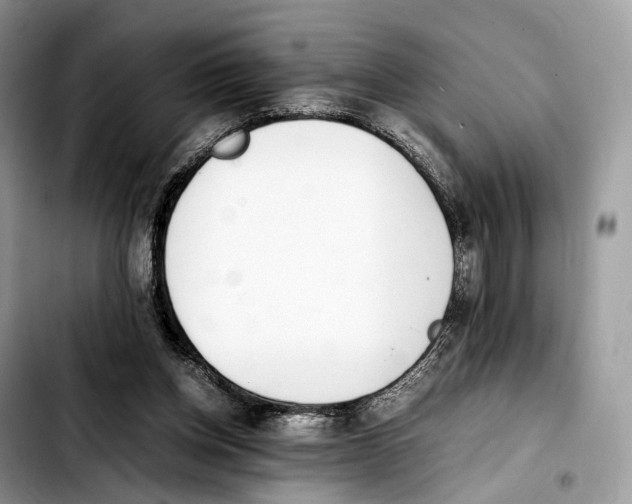 X0000103450158200810101135