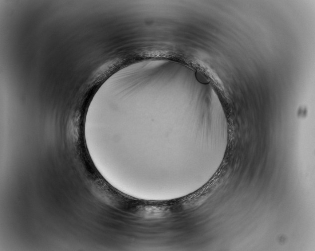 X0000103450163200810101135