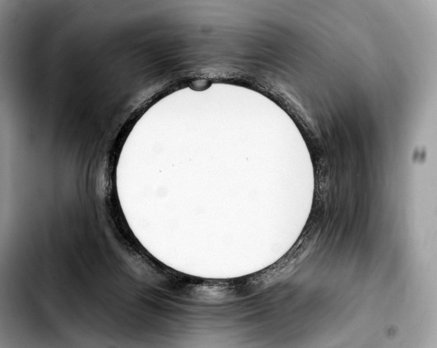 X0000103450164200810101135