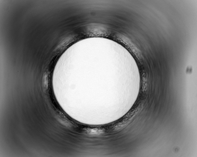 X0000103450165200810101135