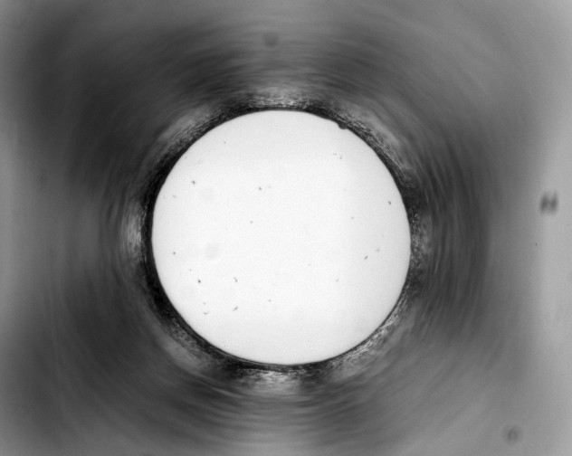 X0000103450166200810101135