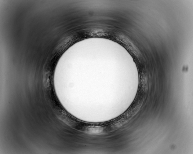 X0000103450169200810101135