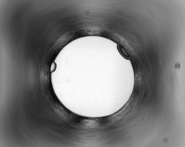 X0000103450170200810101135