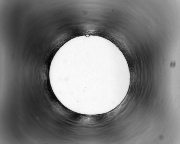 X0000103450174200810101135