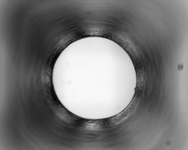 X0000103450175200810101135