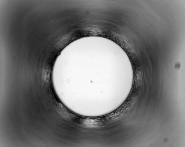 X0000103450177200810101135