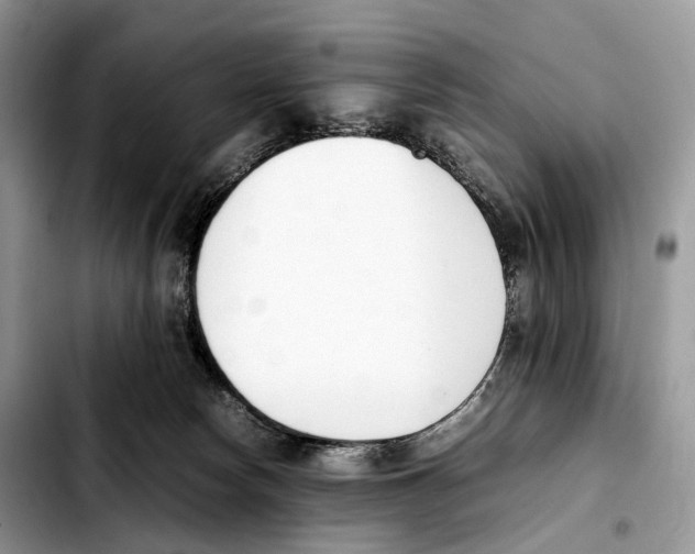 X0000103450178200810101135