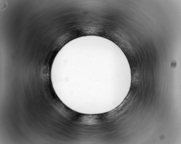 X0000103450179200810101135