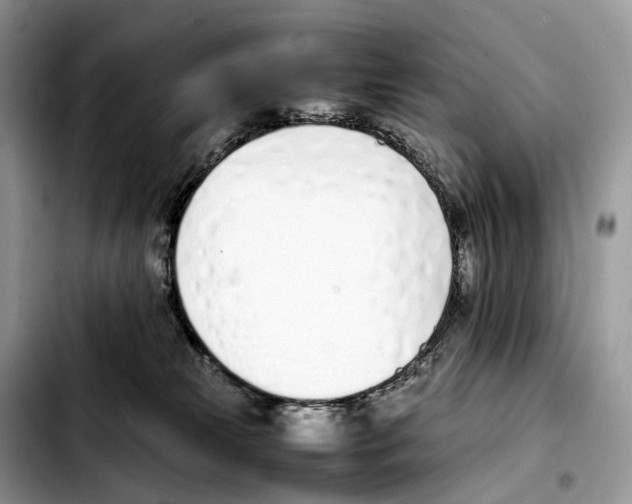 X0000103450181200810101136