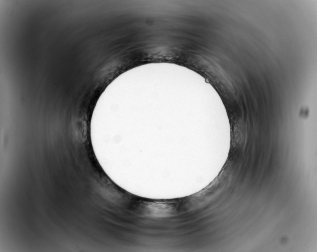 X0000103450183200810101136