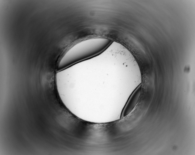 X0000103450184200810101136