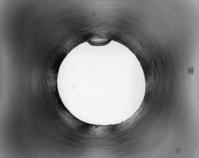 X0000103450186200810101136