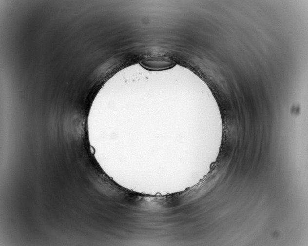 X0000103450188200810101136