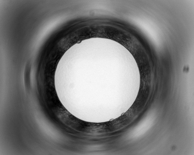 X0000103450189200810101136