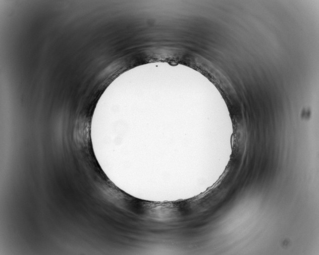 X0000103450191200810101136