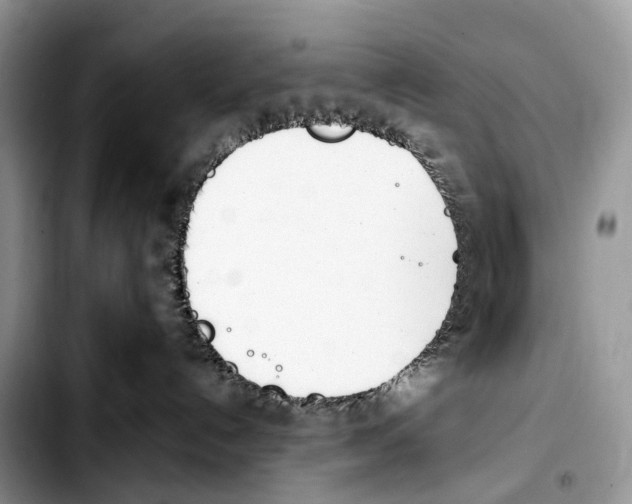 X0000103450192200810101136