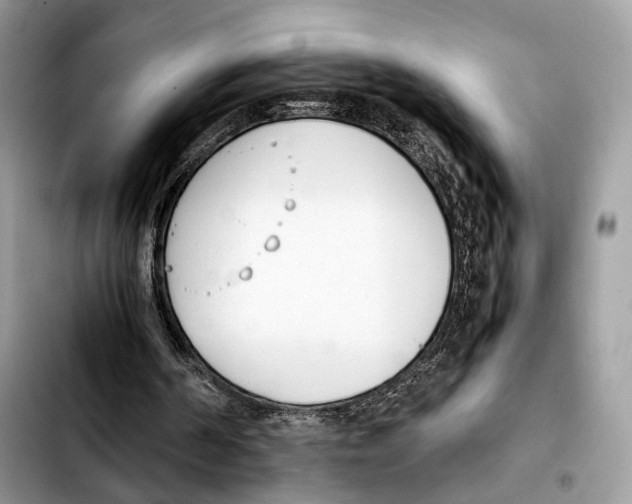 X0000103450194200810101135